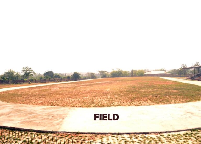 Field Area